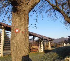 Prednovoletno srečanje v Stahovici - sobota, 7. december 2013