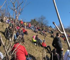 in iskala svoj prostor na vzpetini nad spomenikom...