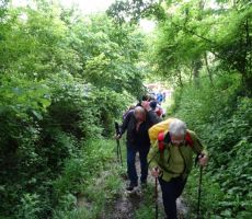 Pohod Čučerje - Vugrovec