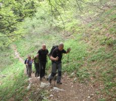 smo hitro prišli iz gozdne meje...