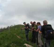 in se bližali koči....