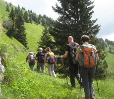 mi pa smo nadaljevali proti razpotju...