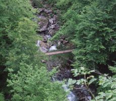 s ceste smo si ogledali sotočje Tolminke in Zadlaščice...