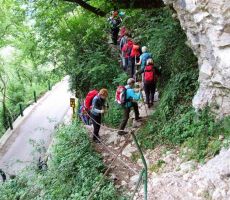 in smo zagrizli v kolena naprej v strmino...