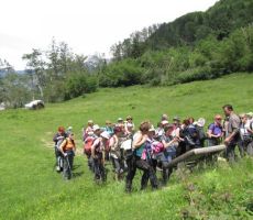 ostanki fernaže so še vedno vidni