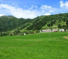 še enpogled na vas...