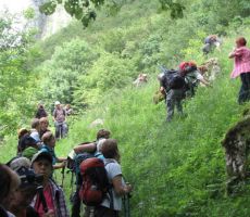pa nazaj na travnik, kjer smo se pasli v gozdnih jagodah...