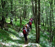 vedno bliže smo strugi Tolminke...