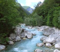 ki se kaže v prelepi barvi...