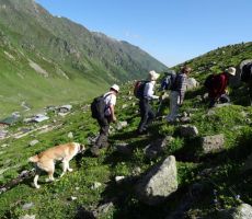 Visokogorje Kačkarja   