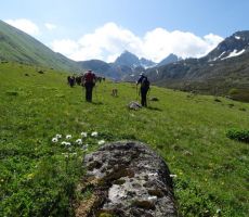 Po cvetočih poljanah na 3000 m  
