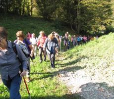 in smo šli naprej proti Bukovemu...