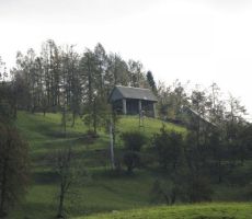 tudi pri temu kozolcu na Bukovem so posneli kadre...