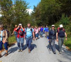 dokler nismo prišli na asfalt