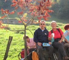 tudi orientacijo je treba preizkusiti