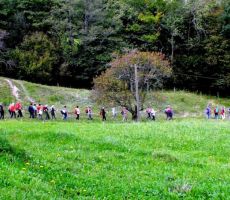 treba je naprej v dolino...