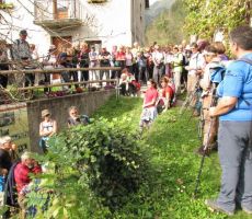 in še druge kadre...