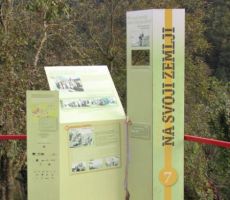 ob zadnji sedmi točki