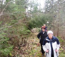 Laze - Logatec, seniorski izlet - sobota, 10. januar 2015