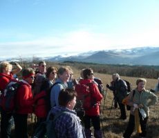 Brkinski rob - Seniorski odsek, 2009 