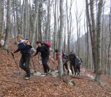 ROMBON 2208m, 24.01.2015