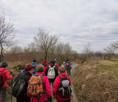 PO SLOVENSKI ISTRI, 15.02.2015