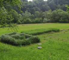 ki je lepo vnesena v okoliške travnike