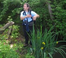 in vodnih perunik...