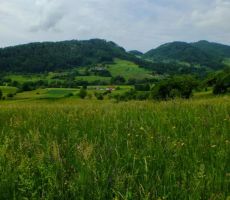 ob pogledu proti kozjanskemu gričevju...