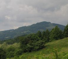 vetrnik s svojo učno potjo, ki jo vodi in ureja Kozjanski park...