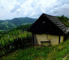 pa še zidanca ob robu vinograda...