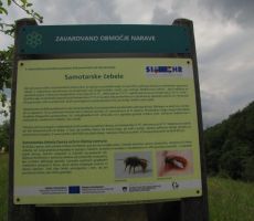 označujejo, kaj se tu dogaja...