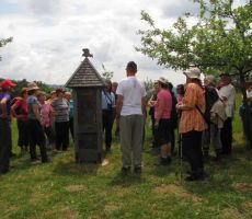tudi v hotelu žuželk, ki ja trenutno prazen...