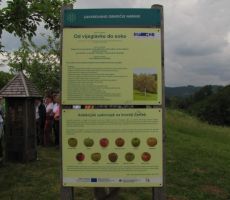 najpogostejše avtohtone jablane...