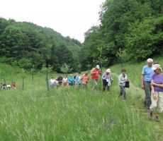 sprehodili smo se skozi mladi sadovnjak...