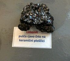 z vseh koncev sveta...