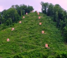 stare Svete gore nad Podsredo