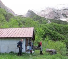 BREZPOTJA V BAVŠICI, 24.05.2015