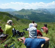 Plavsko-Gusinjske Prokletije