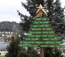 Informacijska smrečica