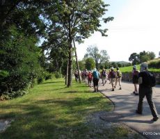 Živi muzej krasa pri Sežani 19.julij 2018