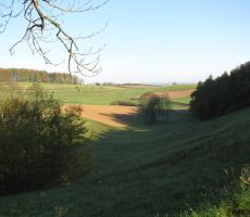 Mehka Dolenjska pokrajina