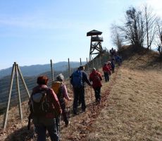 Proti razglednem stolpu