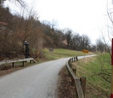 Ob poti je mnogo lesenih skulptur