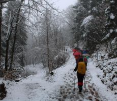 Iz vej nam je kapljalo za ovratnik