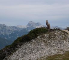 Še en pogled na Triglav