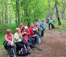 Počitek v zelenem raju