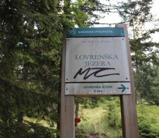 V bližini Lovrenških jezer