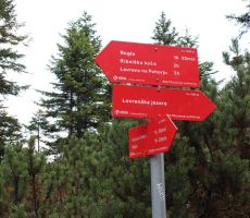 Da ne bi zgrešili!!!???