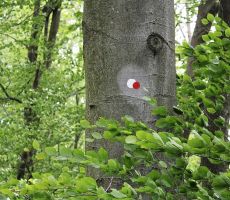 Skrbno očiščene markacije